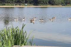 FB_IMG_1694943595940